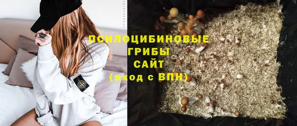 эйфоретик Абинск