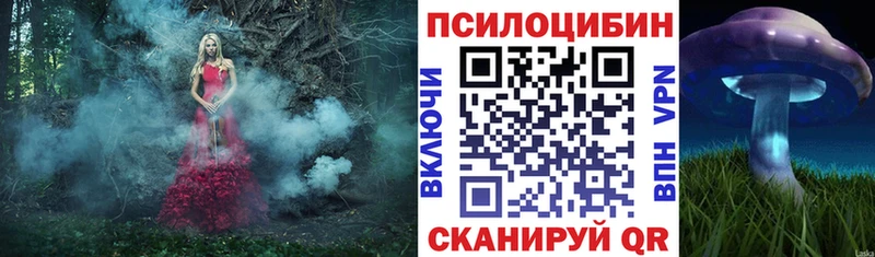 Галлюциногенные грибы Psilocybe OMG ТОР Терек наркотики